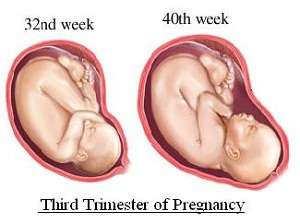 Signs Baby is in Distress: Third Trimester